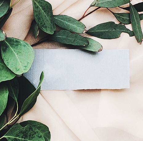 Eucalyptus Ast