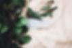 Elegant Greenery Display