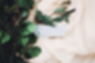 Eucalyptus Branch