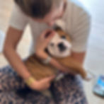 PUPPY YOGA PARIS 🐶, 17h30