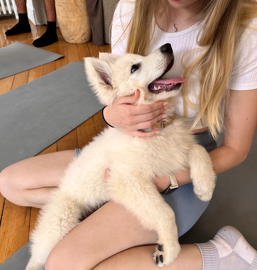 PUPPY YOGA PARIS đ¶, 17h