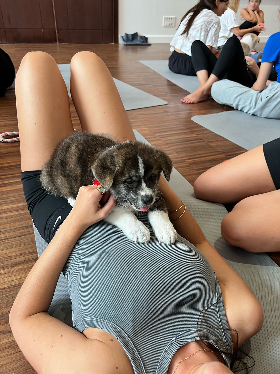 PUPPY YOGA PARIS 🐶, 14h30