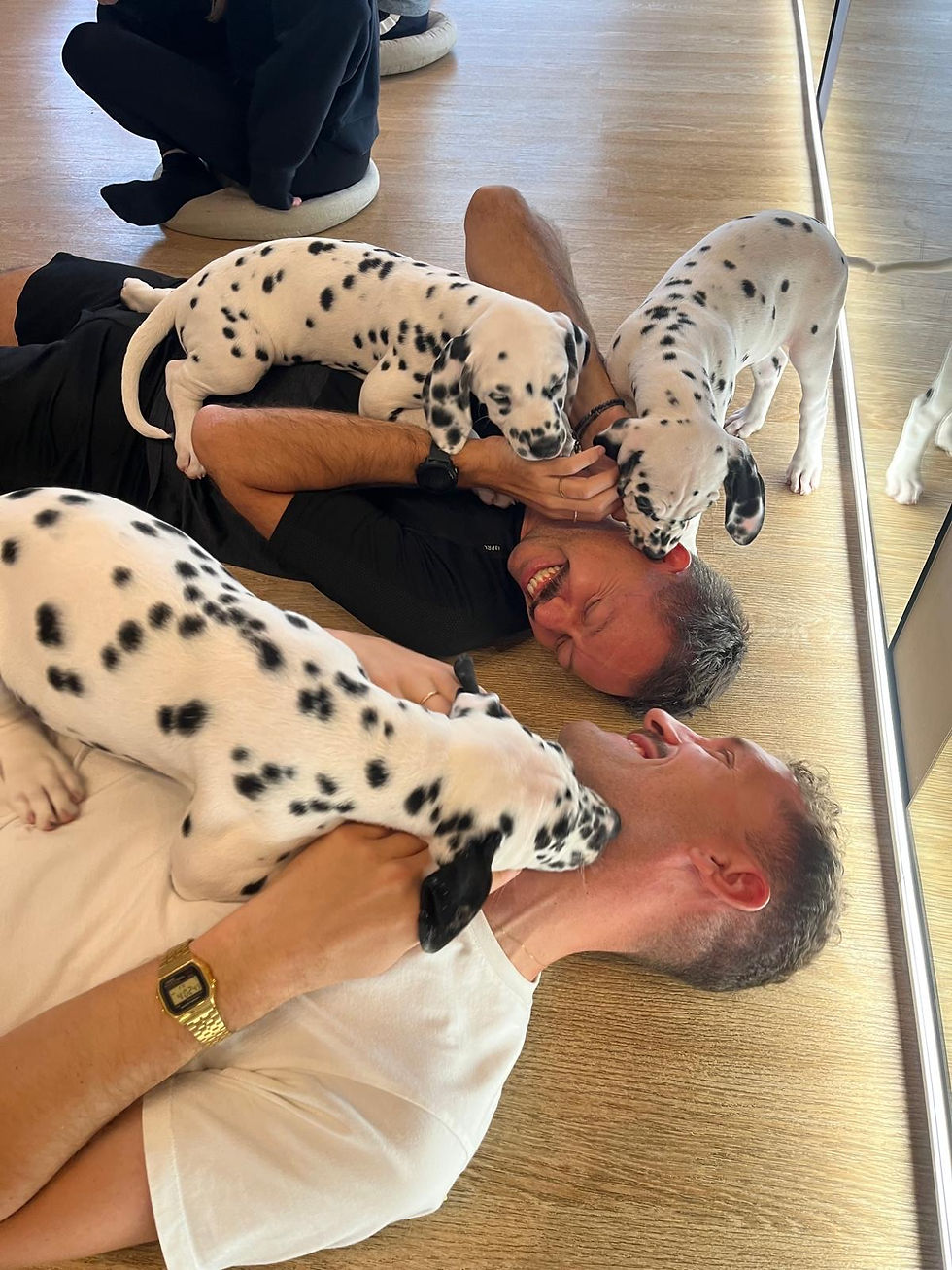 PUPPY YOGA PARIS 🐶, 17h