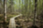 Finland trail running and hiking
