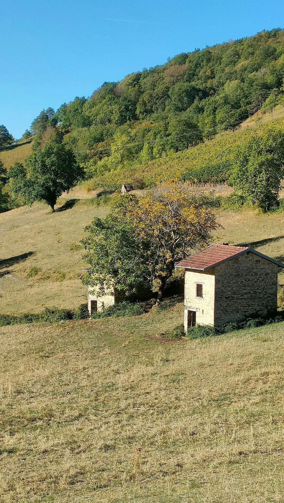 Chaux - Châtillon de Cornelle -3