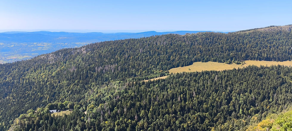 Lochieu - les crêtes sur le Lyand - 4