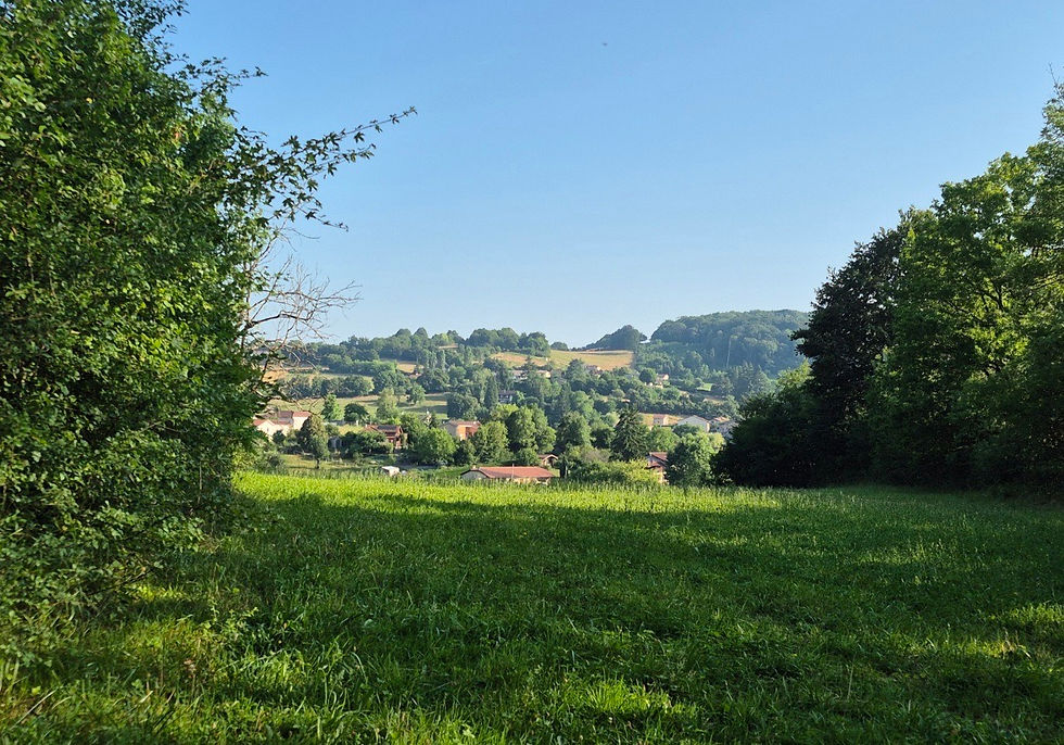 Mas Pommier - Turgon - 1