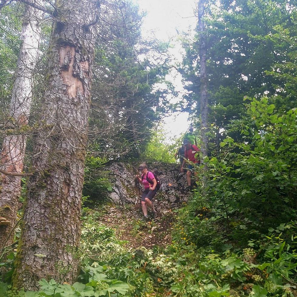 La Praille (7)