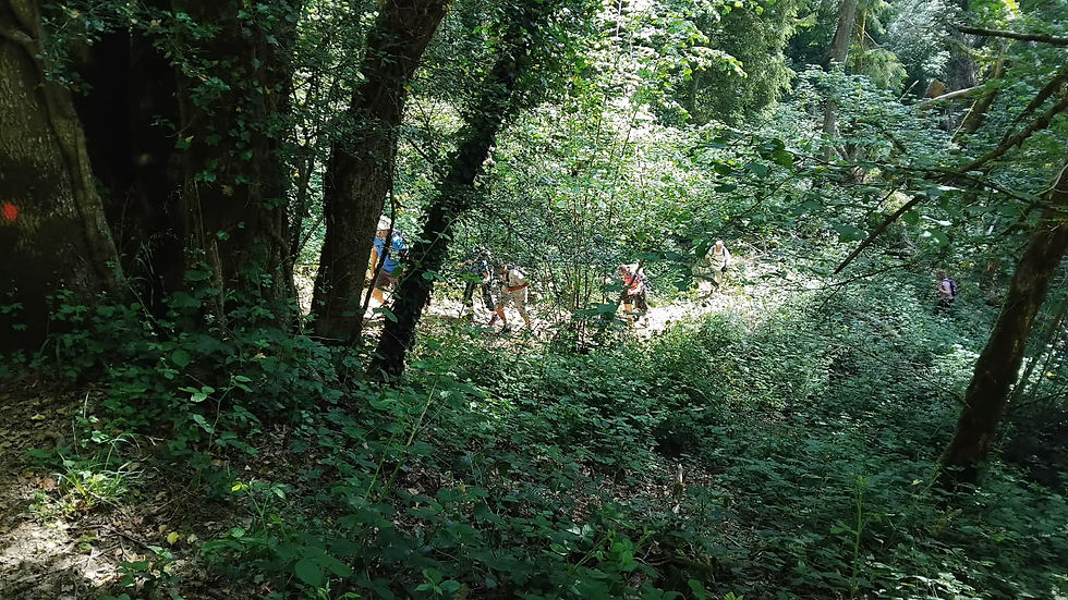 Mt Luisandre - Lupieu - Morgelas - 3