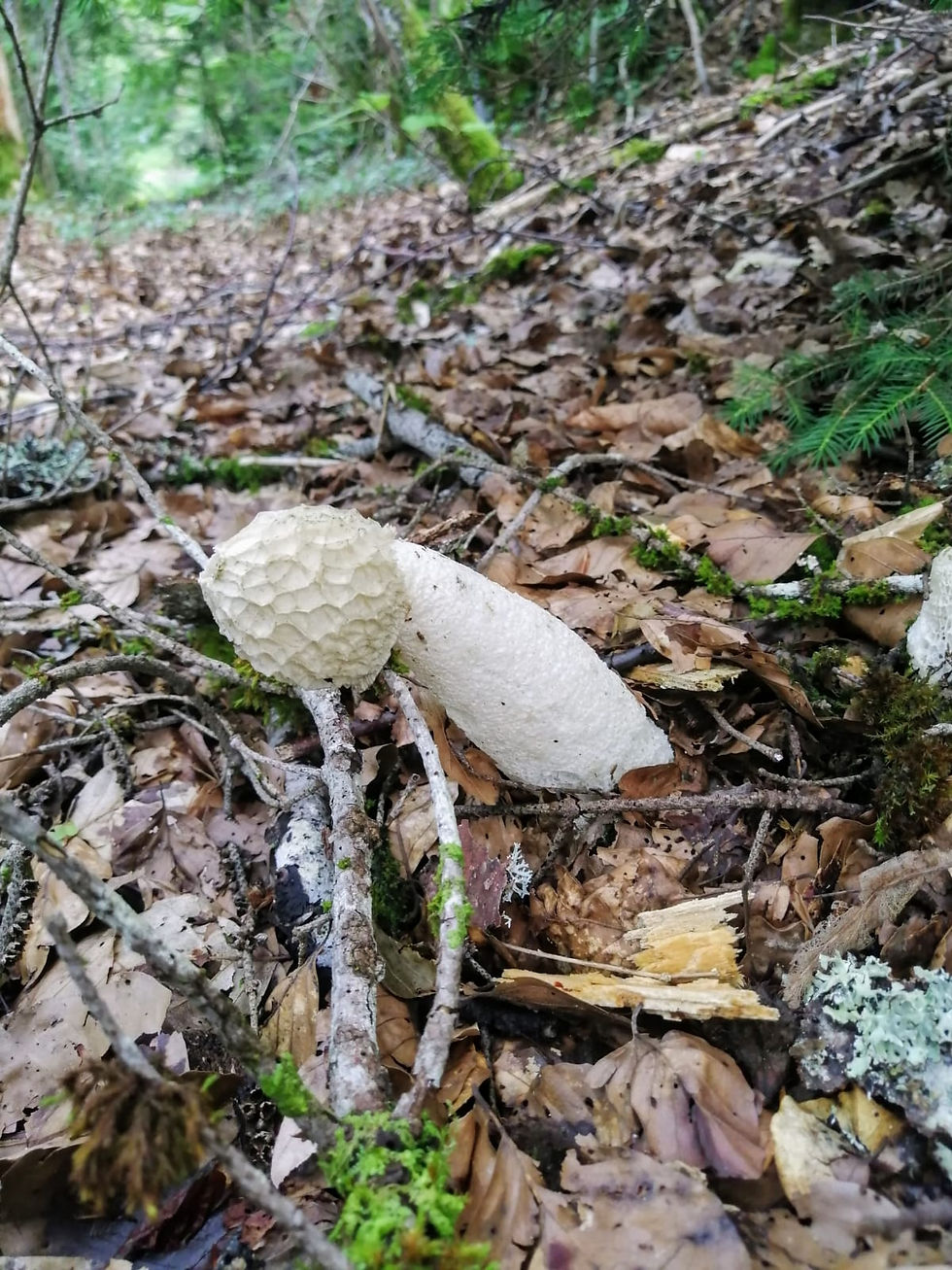 Charix - lac Genin (6)