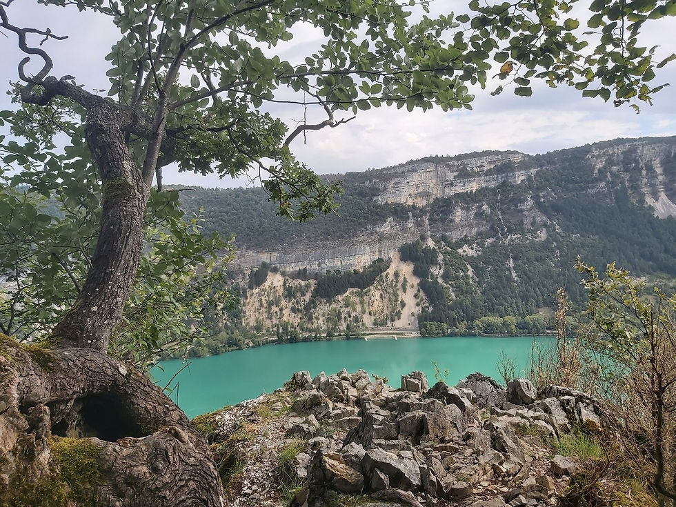 Chamoise - les monts d'Ain (18)