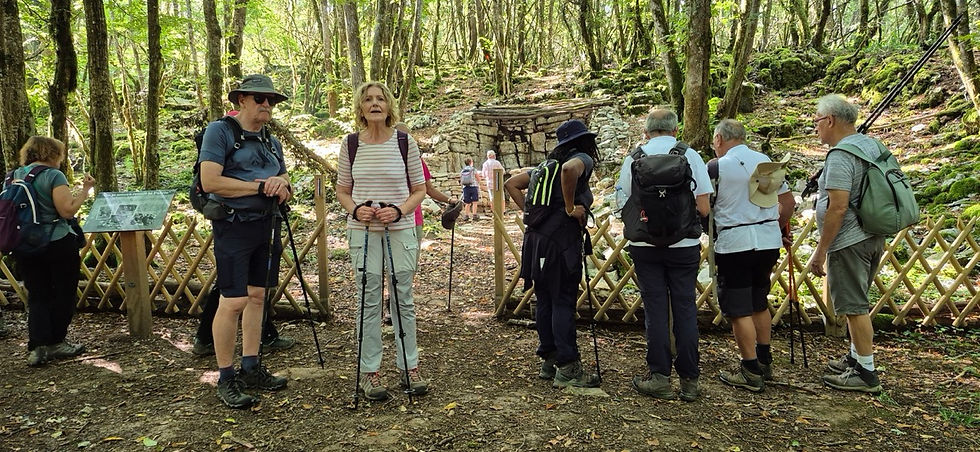 Ceyzériat - Mont July - 6