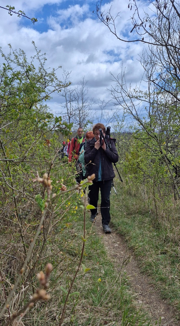 St Martin du Mont - Gravelles -2