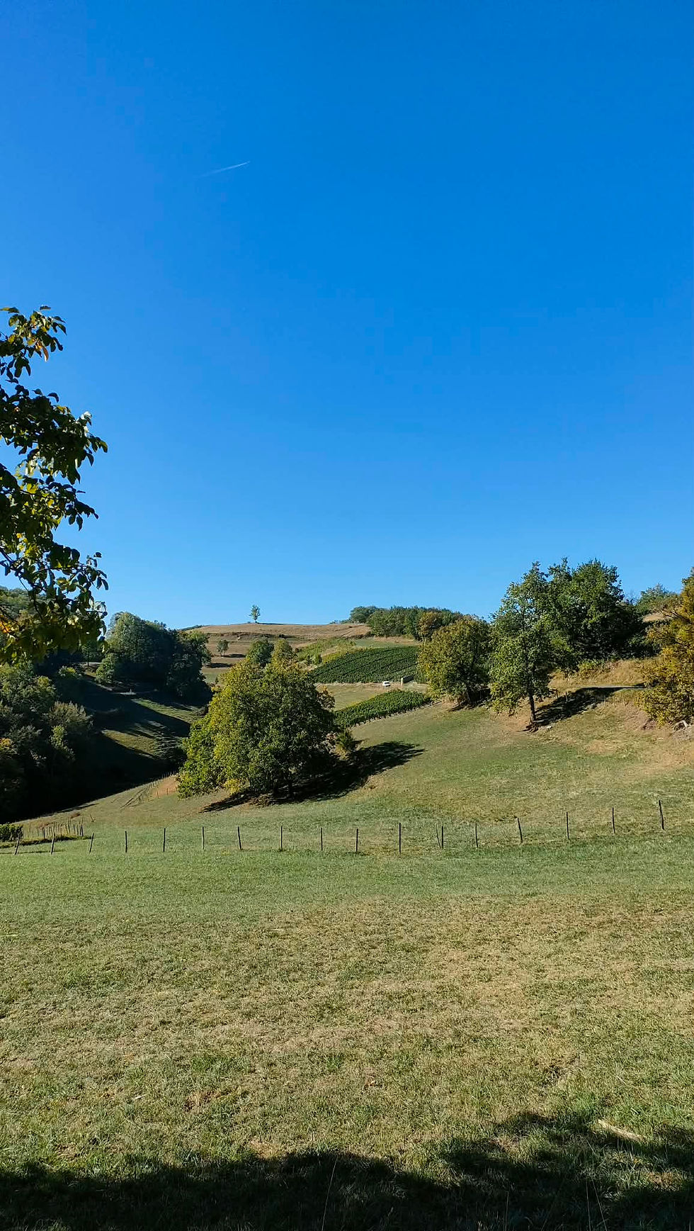 Chaux - Châtillon de Cornelle -12