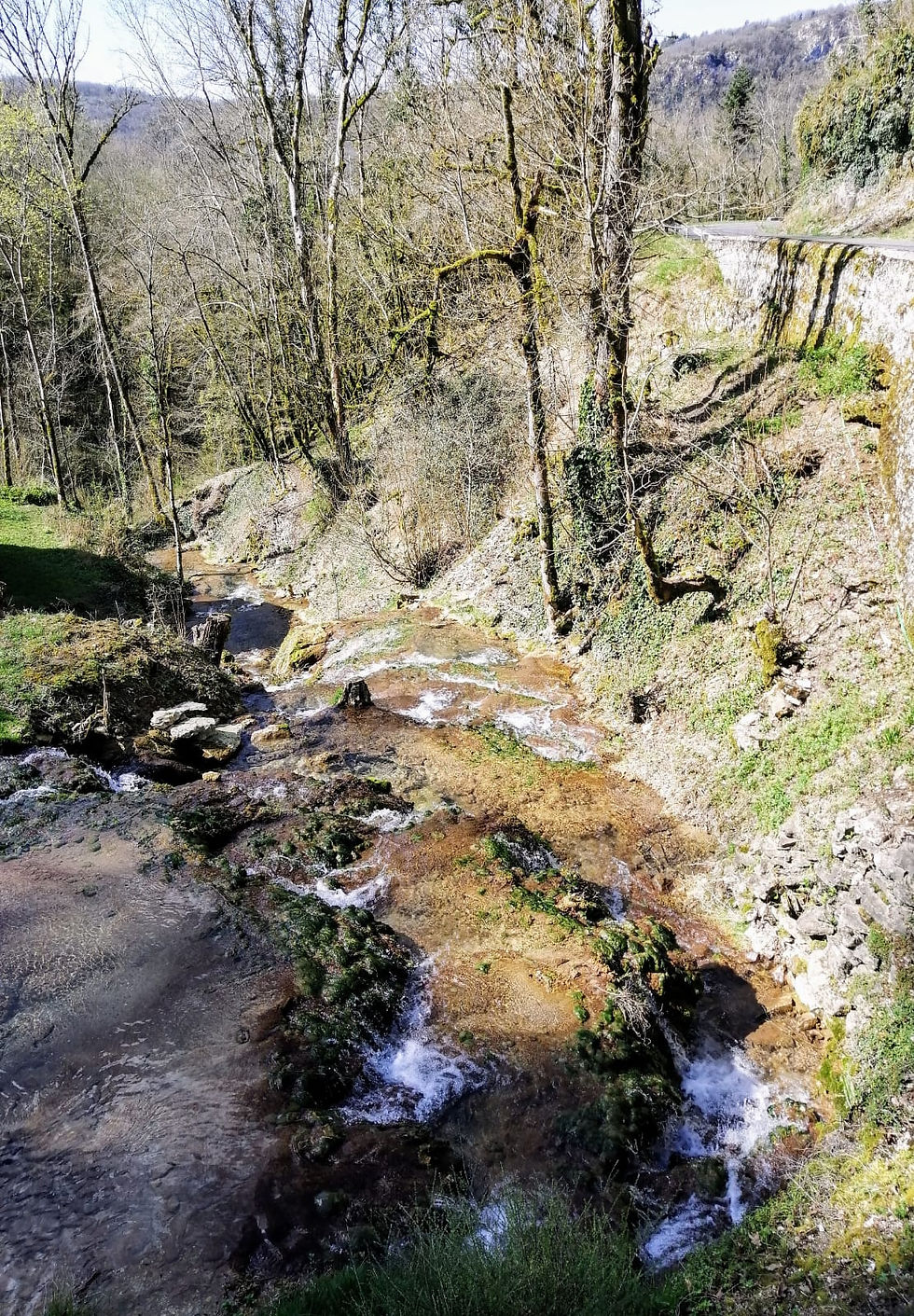 Bonbois - Sonthonnax la montagne (1)