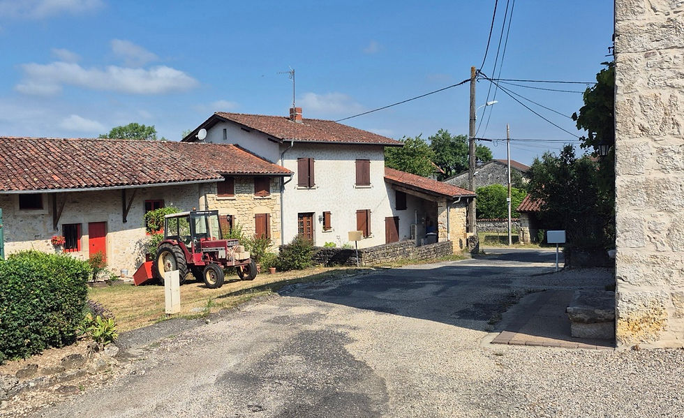 Mas Pommier - Turgon - 14