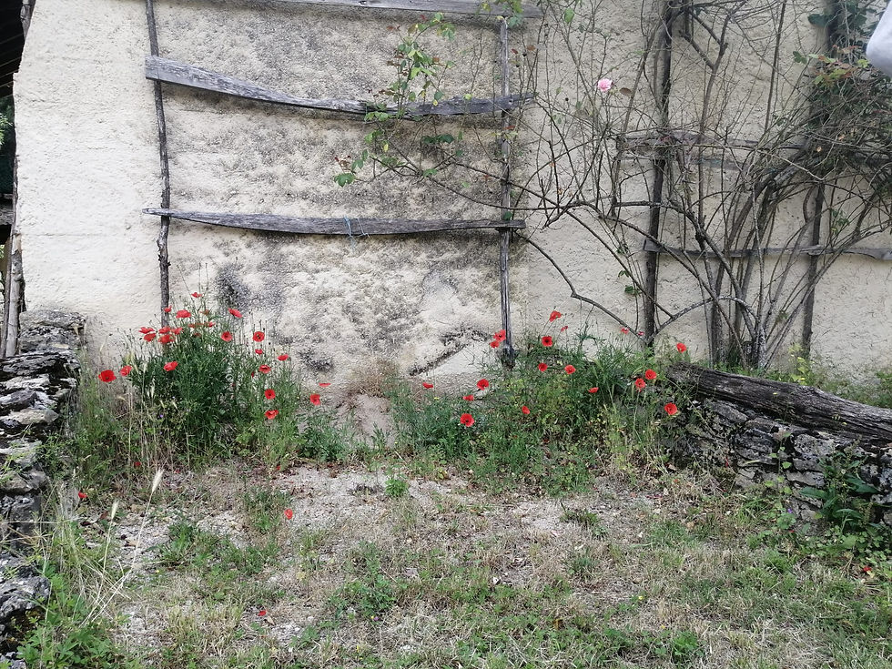 Argis - Plateau de Suerme - 13