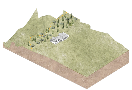 AXONOMETRIAS TERRENOS_Mesa de trabajo 1.png