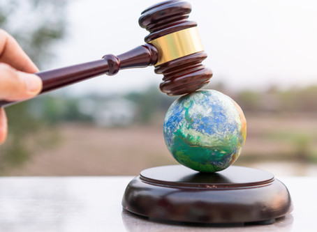 Projeto de lei sobre Licenciamento Ambiental encontra-se em tramitação na câmara dos deputados.
