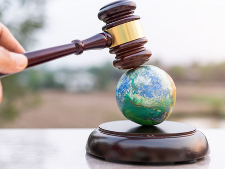 Projeto de lei sobre Licenciamento Ambiental encontra-se em tramitação na câmara dos deputados.