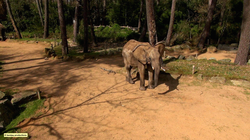 une saison au zoo. le prime. france4