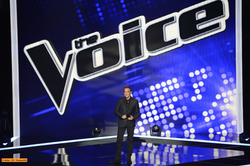 the voice. saison 4. tf1