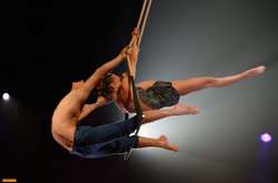 Cirque de demain. Arte
