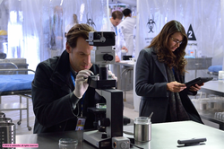 the strain. saison1. (-16). c+series