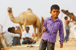 faut pas rêver. rajasthan. france 3