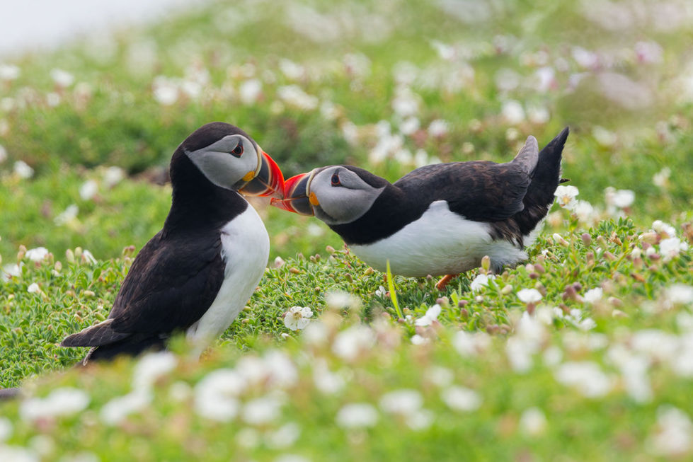 2024-05-12_465A7425_DxO