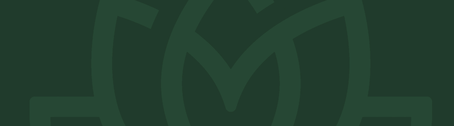 Achtergrond header.jpg