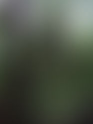 Une semaine au Pass'Âge (24 au 28 juillet)