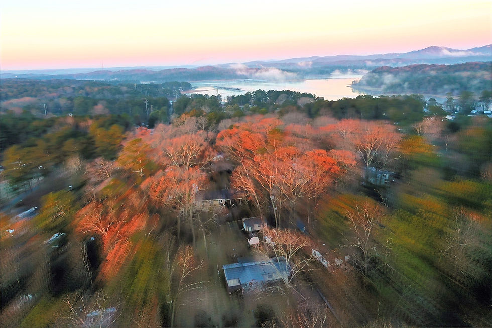 The Future of Drones in 2025: A Glimpse into Tomorrow's Skies