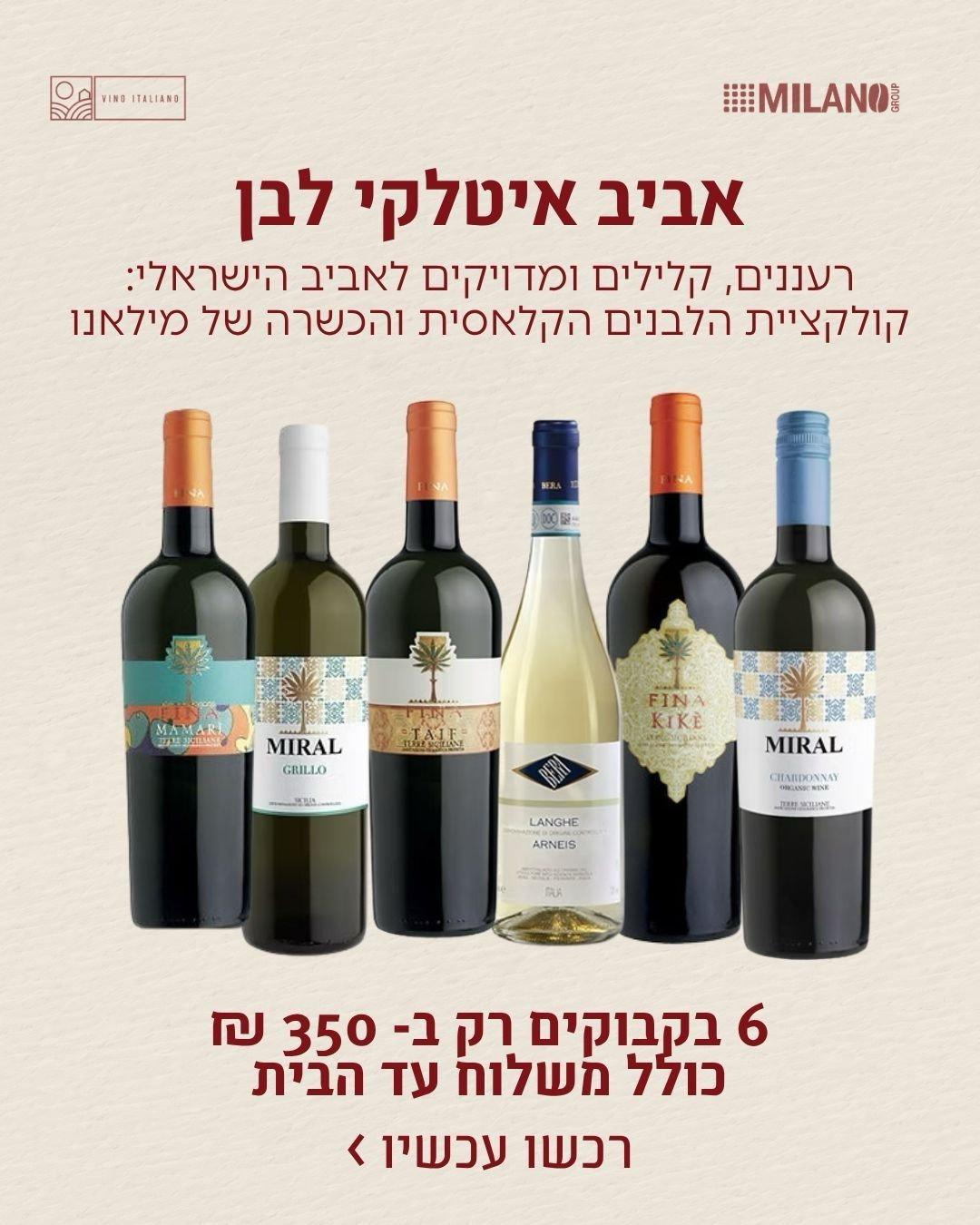 חבילת הלבנים לפסח