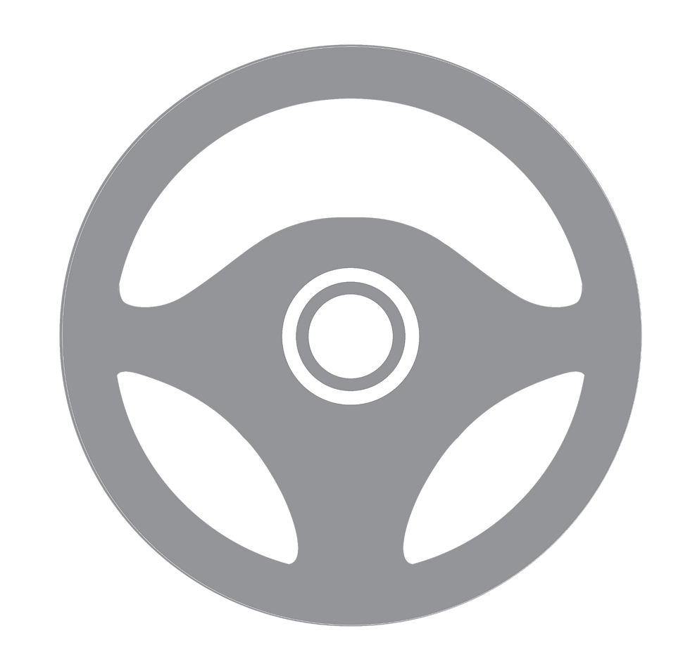 vehicle steering wheel