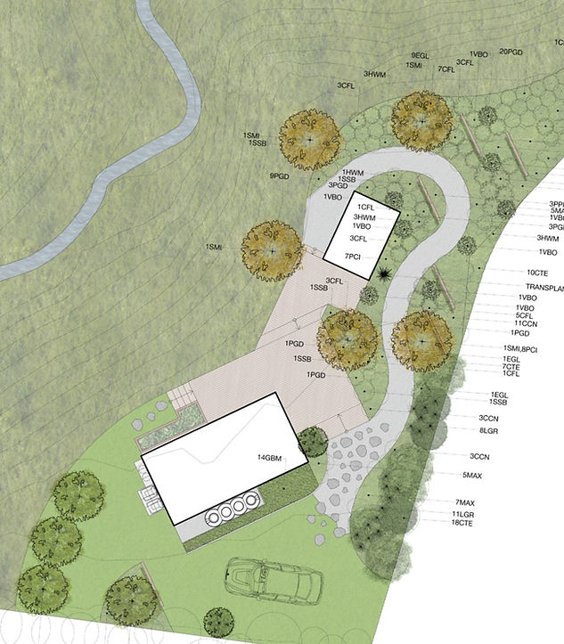 Landscape design with house, driveway, and trees