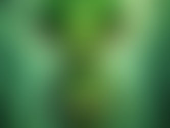 The Aluxes Of The Mayan Riviera