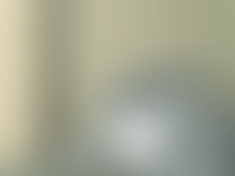 Stenciled Wooden Plank Effect Wall Paper