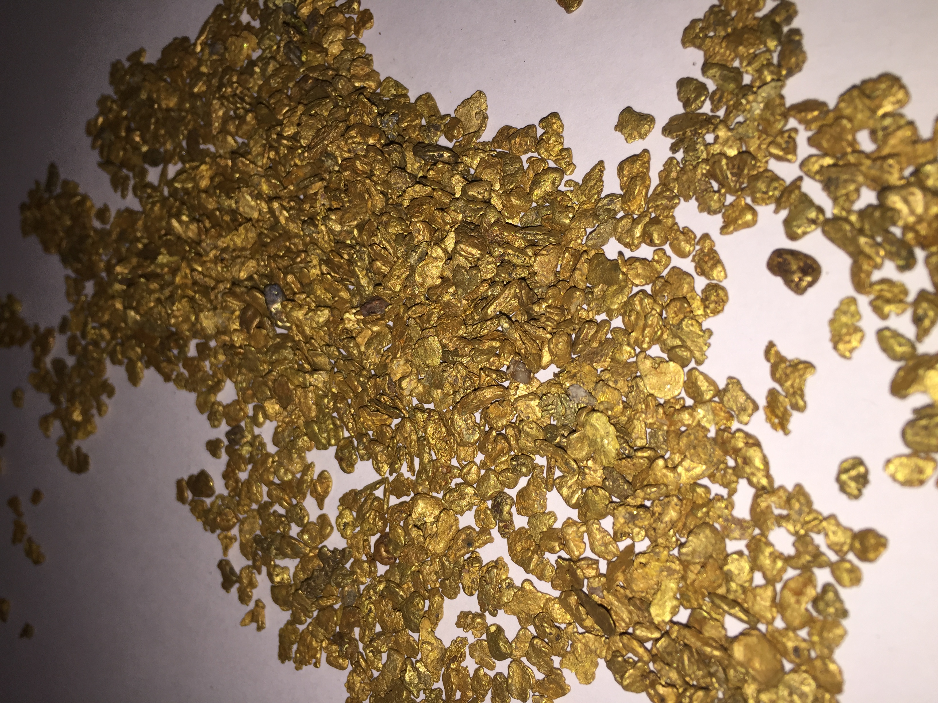 Dirthogg Paydirt Gold Concentrates