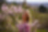 image2.jpeg