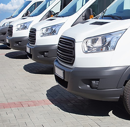 White Minibuses