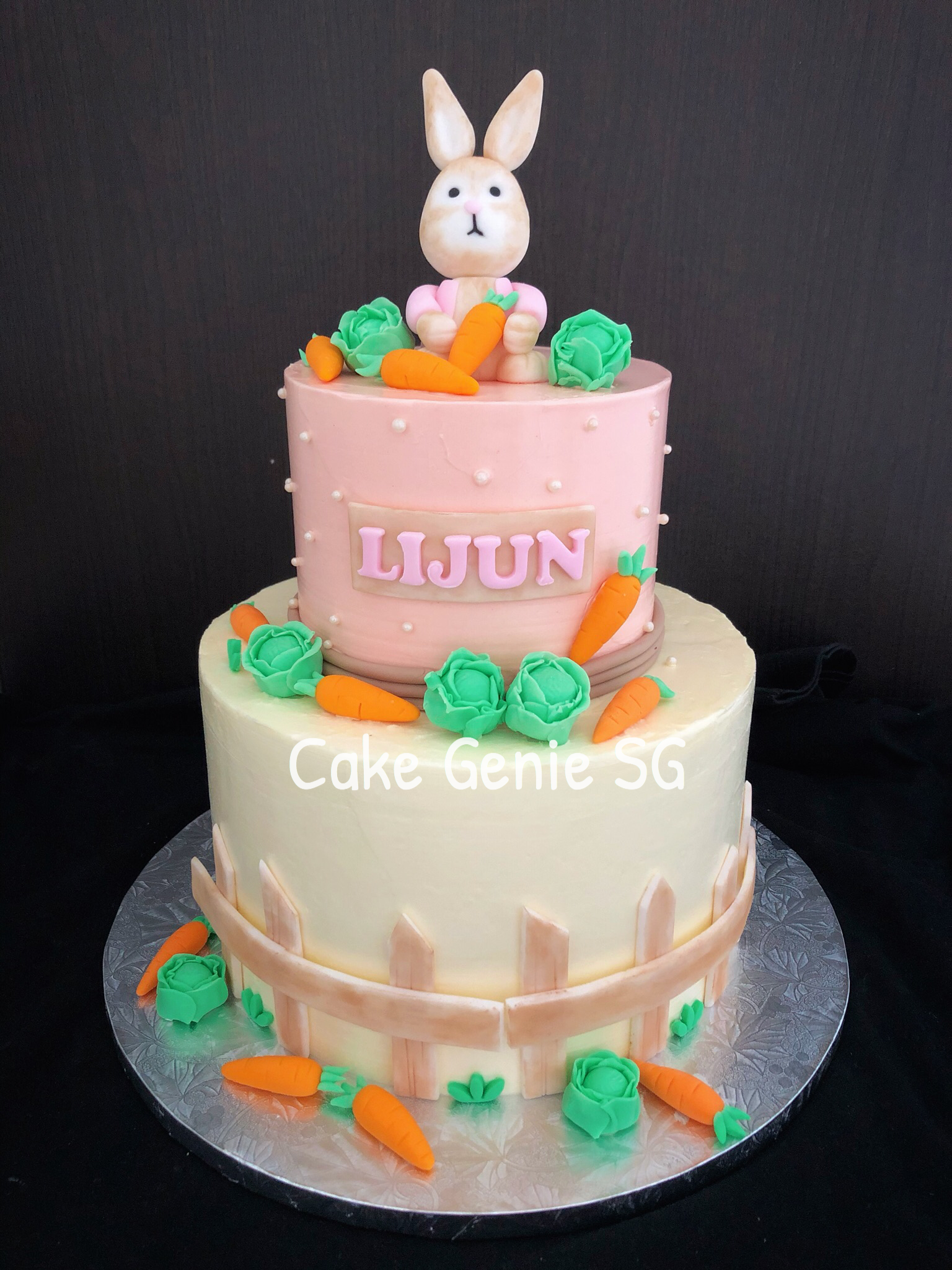 Peter Rabbit Cake
