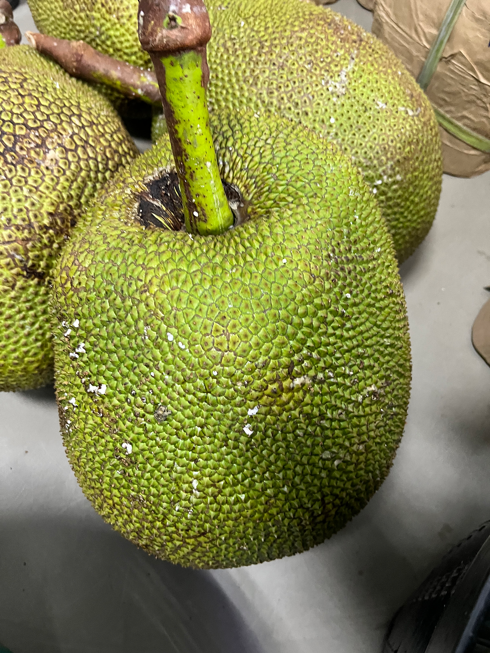 Thumbnail: Jackfruit