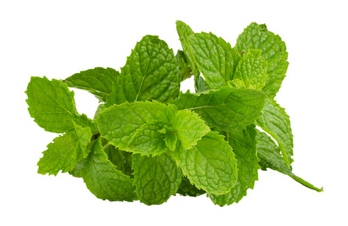 Kitchen Mint | Siam Fresh Market