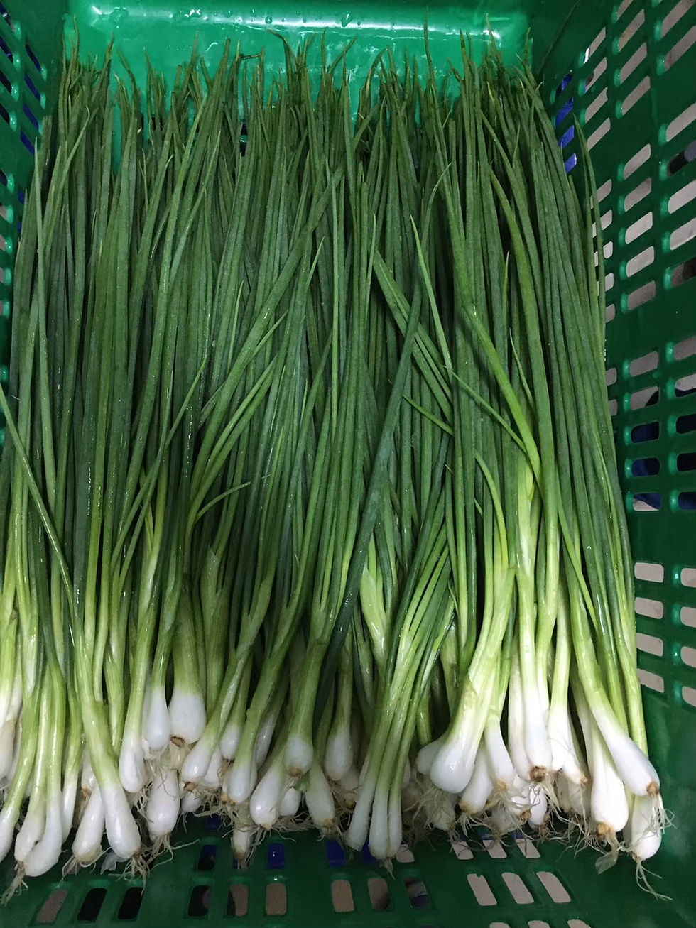 Thumbnail: Spring Onions