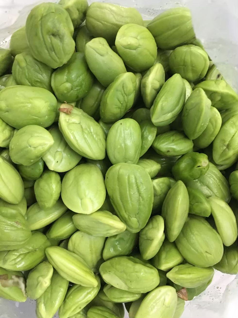 Thumbnail: Peteh Bean (Sator Seed)