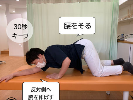 おうちでストレッチ!