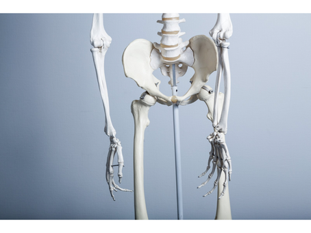 今話題の「骨盤底筋群」、、、弱るとどうなる??