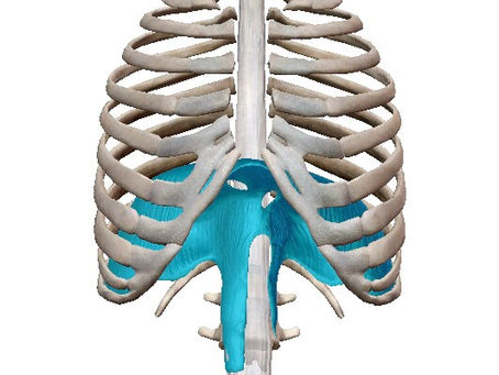 自律神経をコントロール!?