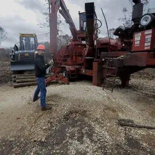 Who owns Wisconsin's forest lands? A lot of families and counties